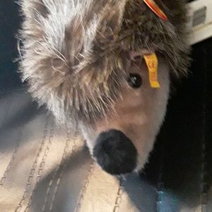 Steiff Hedgehog